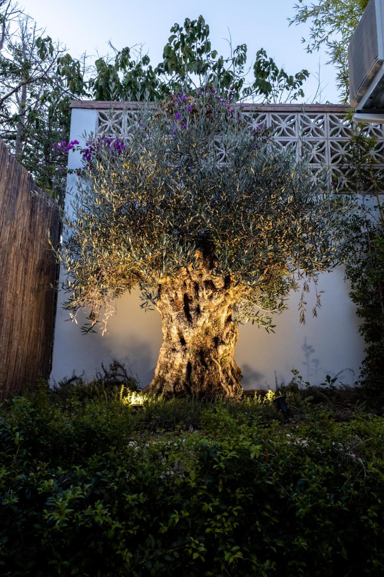 Casa Bodhi Boutique Hotel & Spa Marbella Exteriér fotografie
